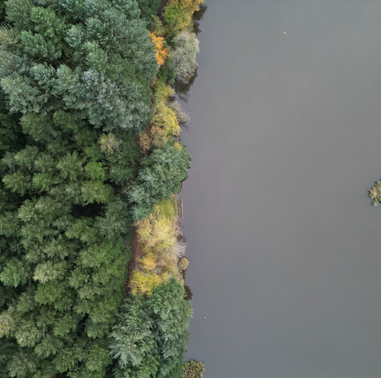 vue aérienne lac Cublize