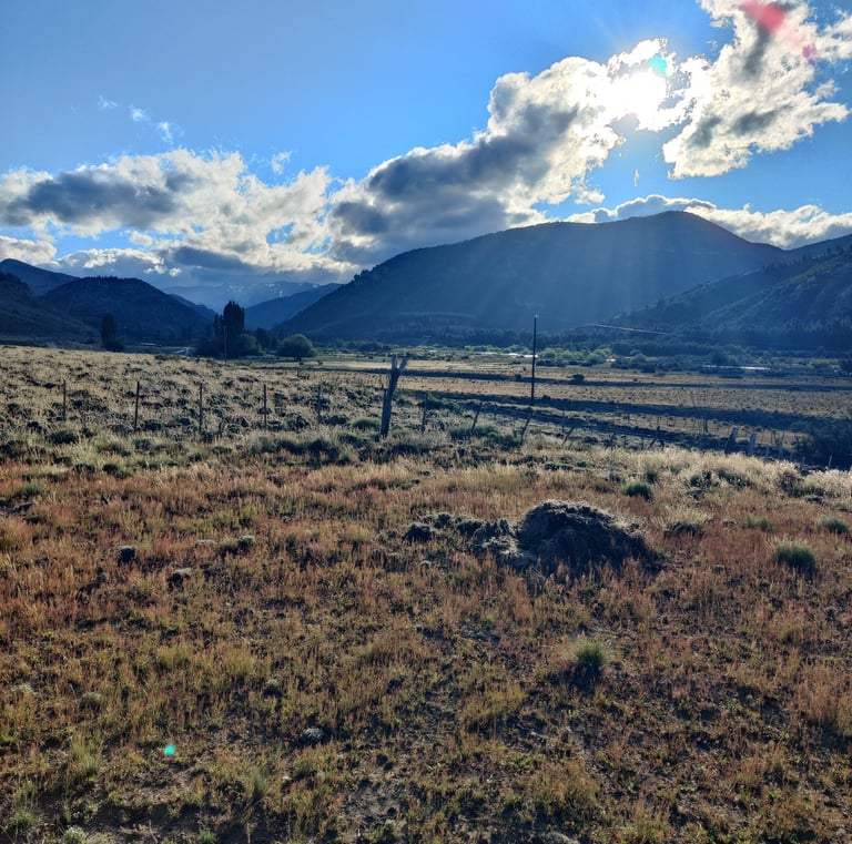 A scenic view of a field with mountains in the background.