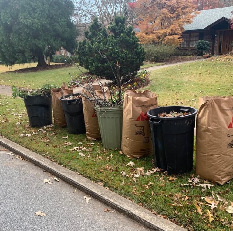 yard refuge piled along the street
