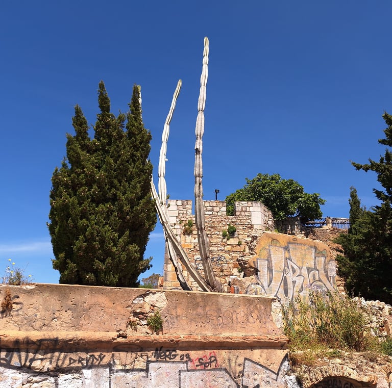 bijzondere planten in Faro stad