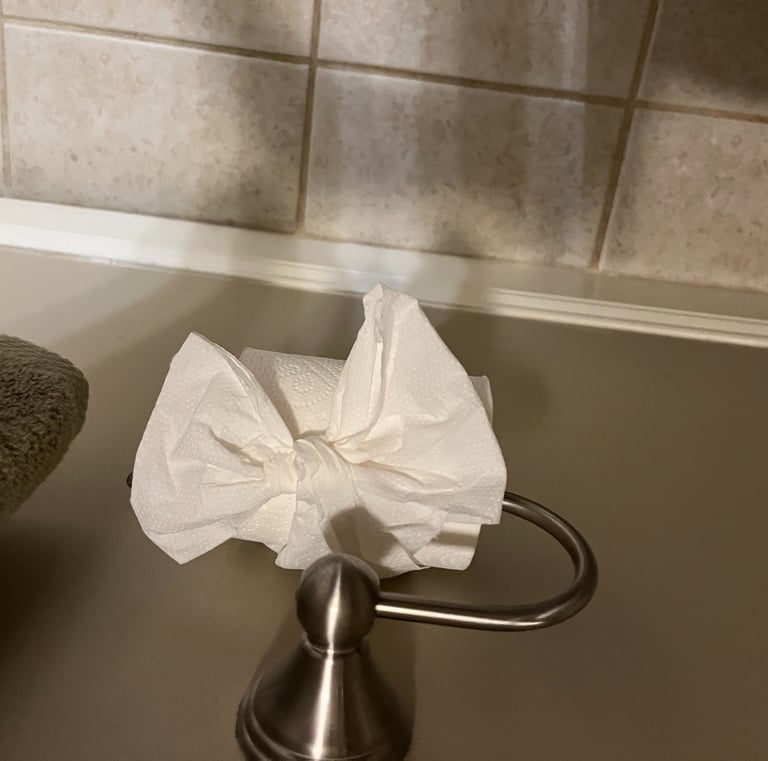 A roll of white toilet paper folded into a decorative bow on a brushed nickel holder.