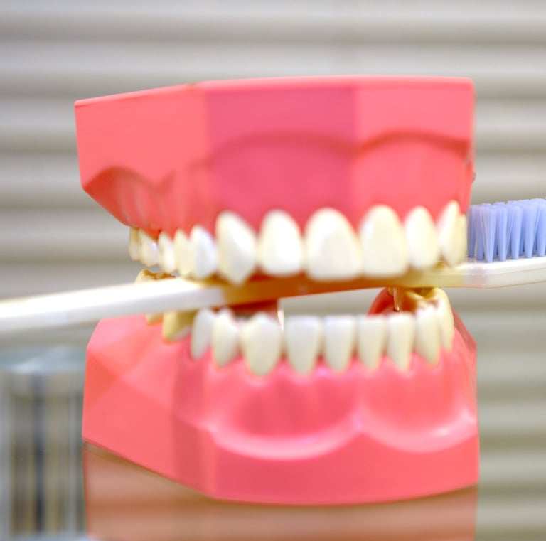 a toothbrush with a toothbrush and a toothbrush