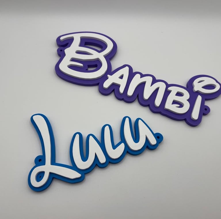 Custom 3D printed name plates for pets, featuring white cursive text with purple and blue borders.