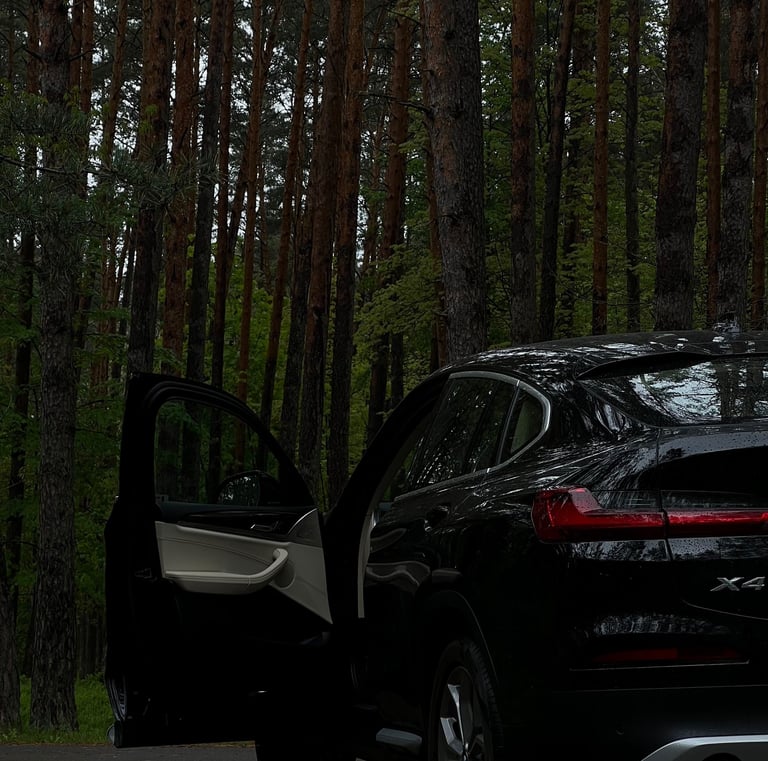 BMW X4 po vidaus giluminio valymo – prabangus automobilis pasiruošęs kelionei.