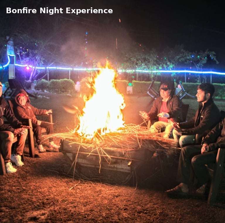 Guests enjoying bonfire night at Jungle Lore Resort in Rishikesh with outdoor seating