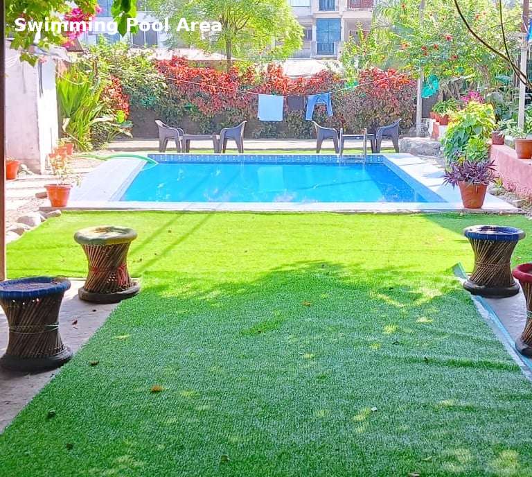 Swimming pool at Jungle Lore Resort with garden and relaxing seating area