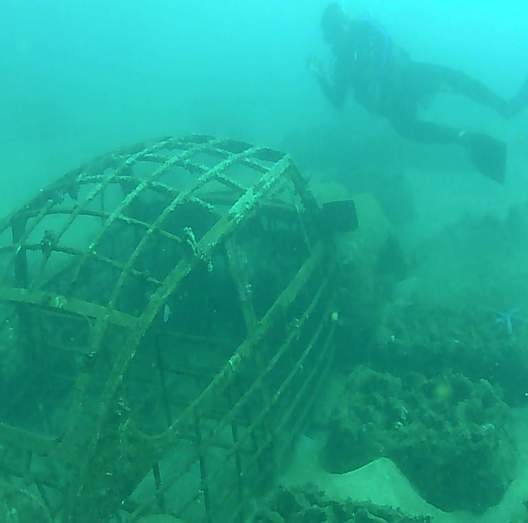 Diver posing beside coral-covered VW Beetle in Lovina Reef underwater museum
