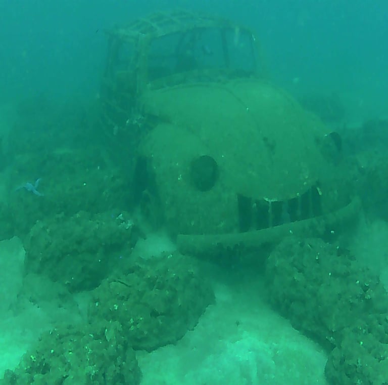 a spot showing car that is sitting on the ground at car museum spot dive
