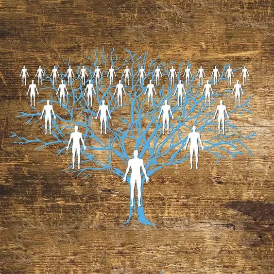 sistēmiskie sakārtojumi