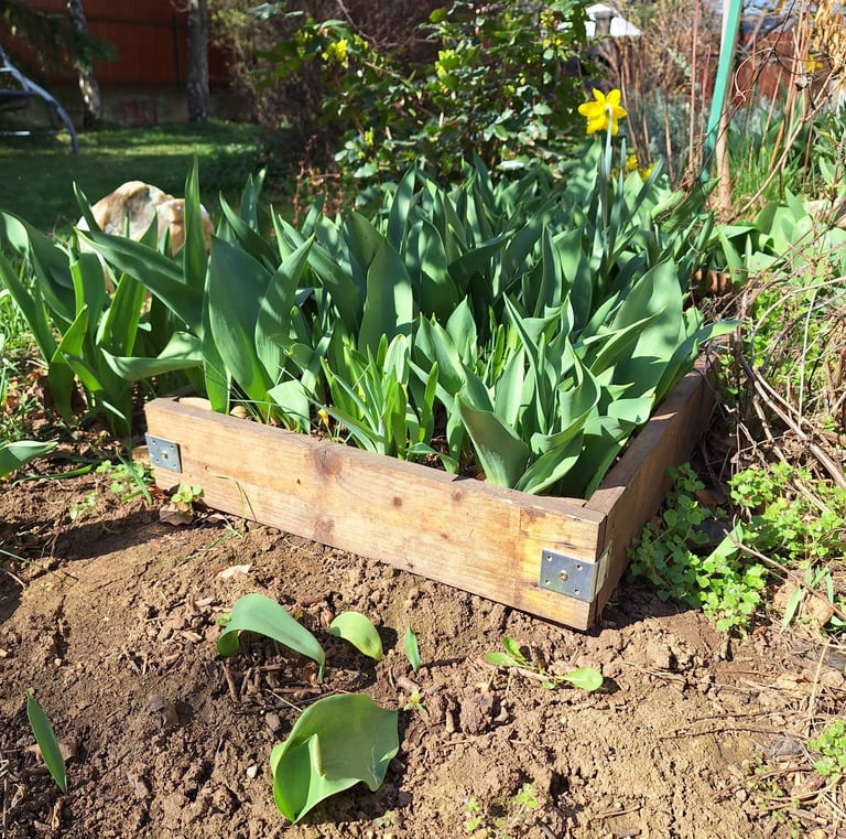 an interesting wood border layout