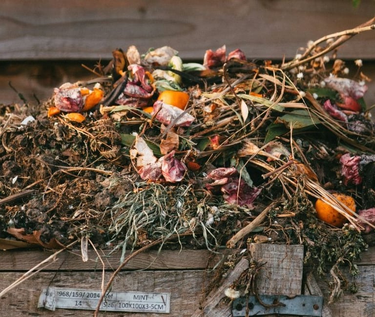 a lot of great compost ingredients like eggshells, leaves and orange peels in a compost pile