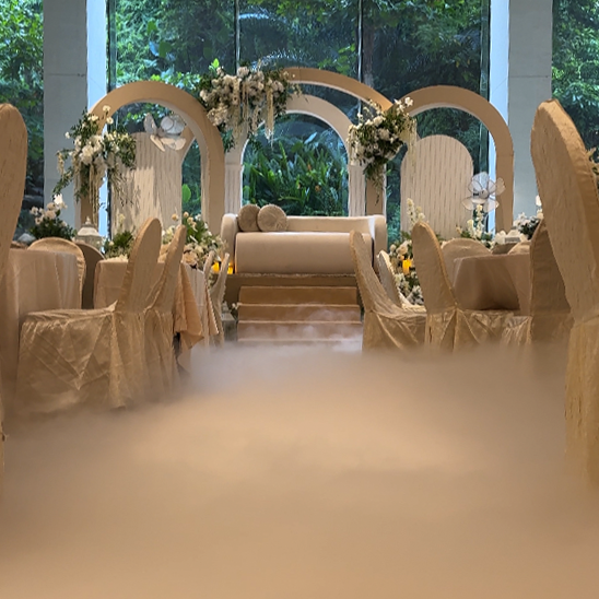 Dry Ice low fog machine rental 5
