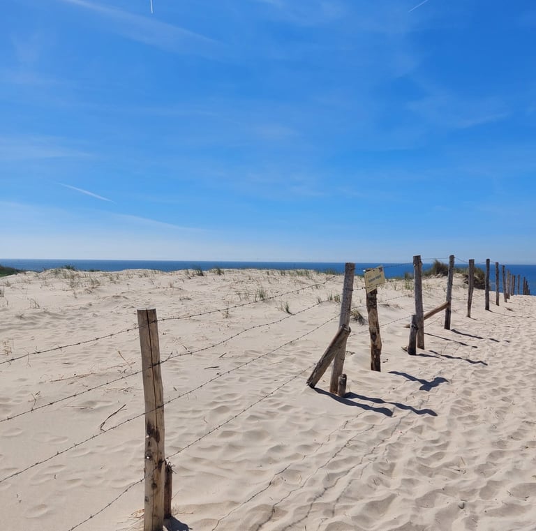 Strand in Zandvoort