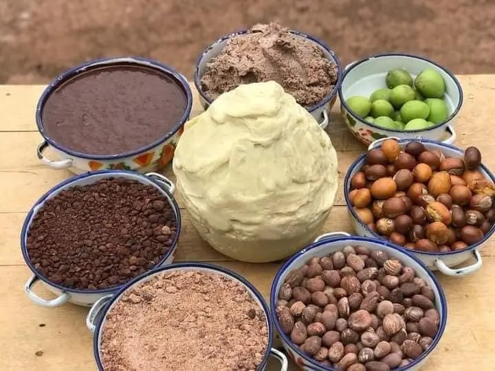 shea butter processing stages : a table with bowls of shea fruits, shea nuts and shea butter