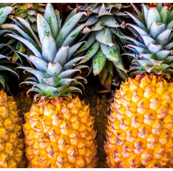 Quais os Benéficos do Abacaxi Para a Saúde