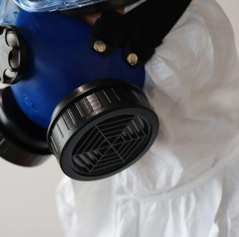 Ottawa Mold Removal - Mould Removal Ottawa