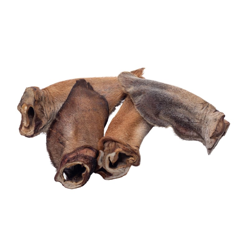 /dog-treats/ears