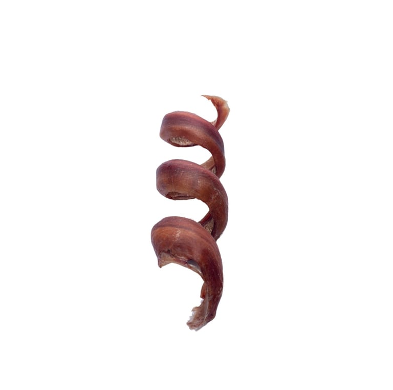 /dog-treats/bully-curly