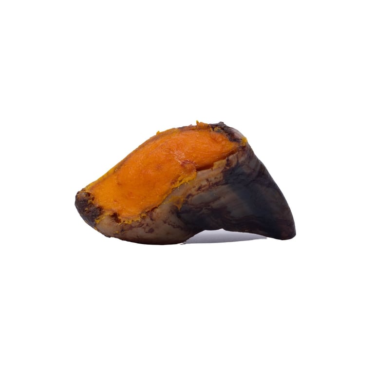 /dog-treats/hooves