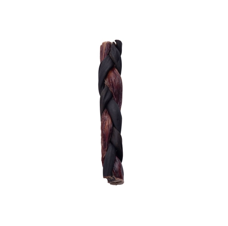 collagen braided with oesophagus