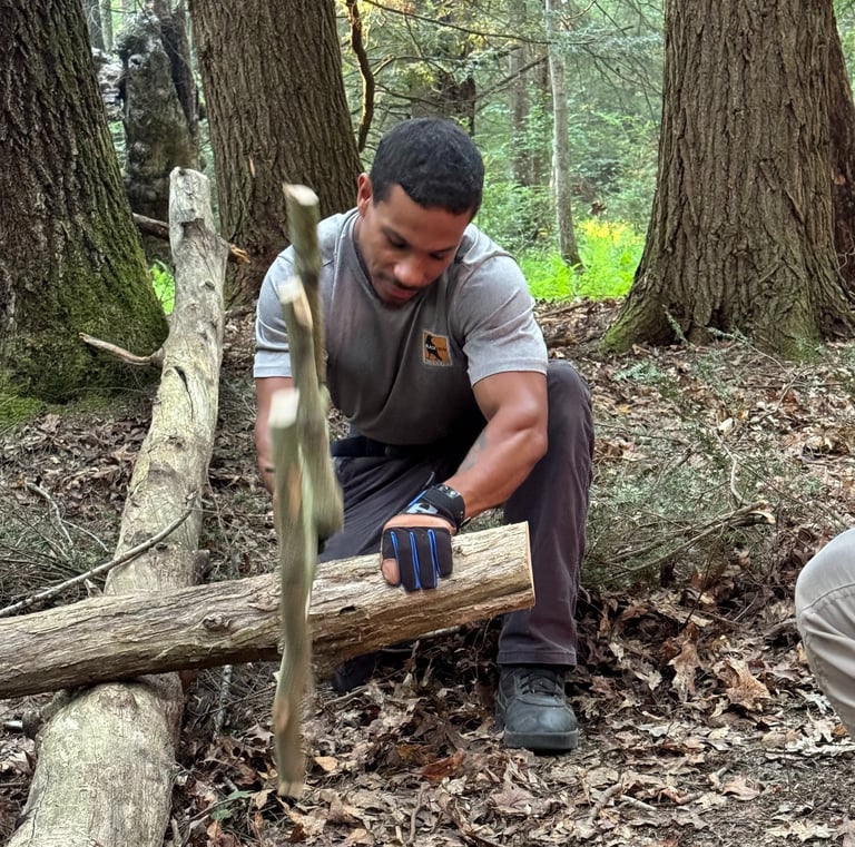 Testing the buck saw