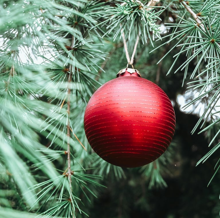 Red ball ornament hanging from a Christmas tree