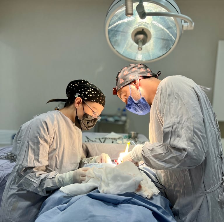 Two surgeons performing a medical procedure in a modern hospital operating room under surgical lights.