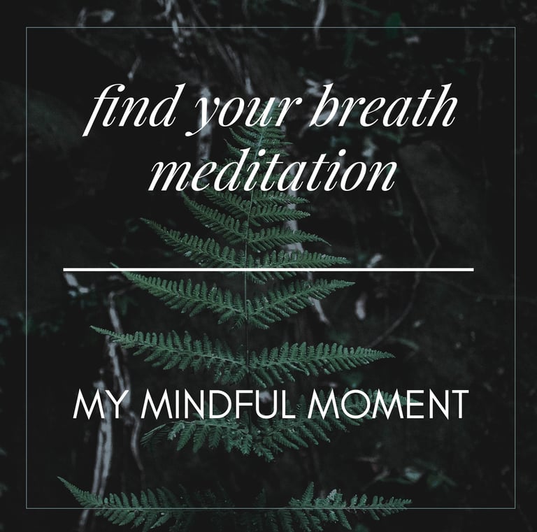 a fern fern leaf with the words find your breath in the background