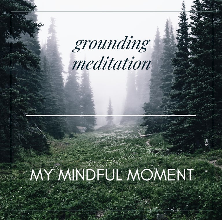 a forest with a quote about grounding meditation