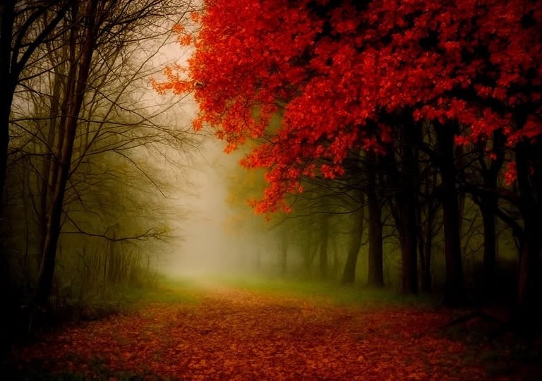 Misty landscape with red leaves