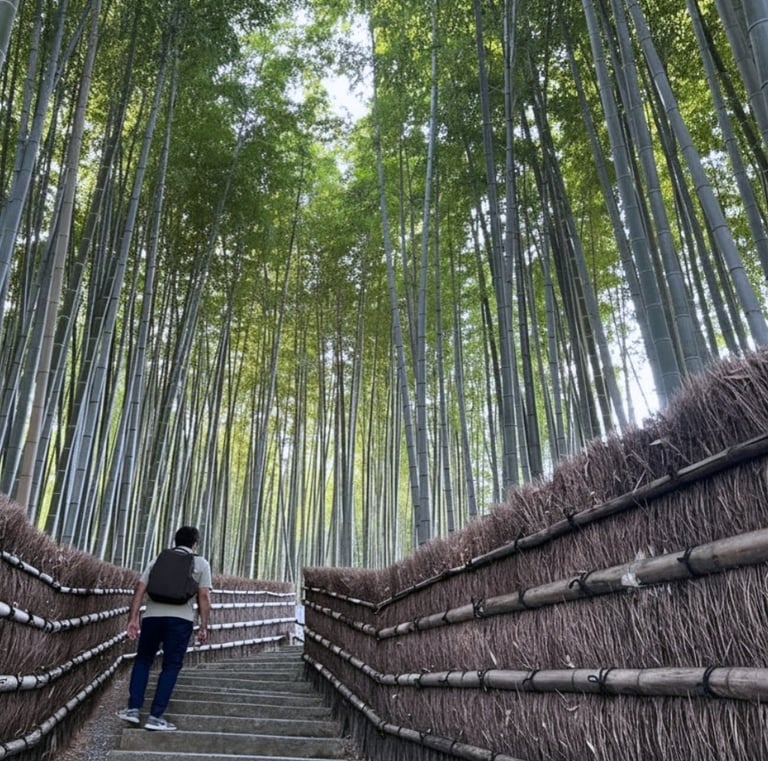 Minimalist Original Photo Arashiyama Bamboo Forest travel art printable