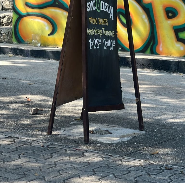 eureka 420 on 5th ave. boardwalk, relaxed and friendly