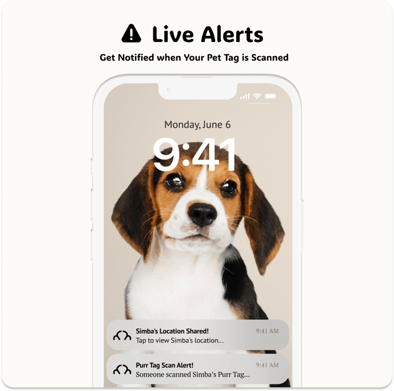 Live Alerts Feature