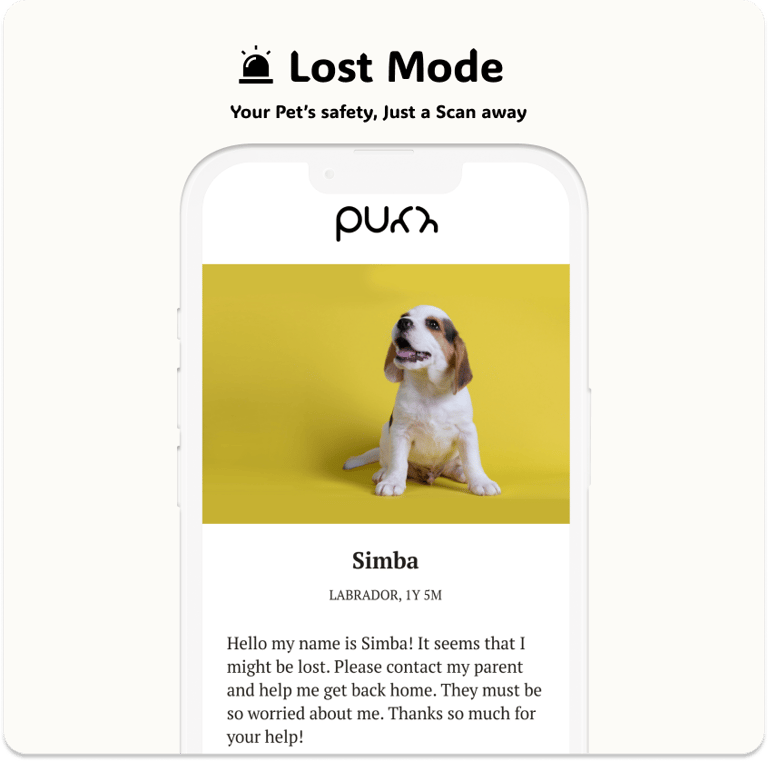 Lost Mode Feature