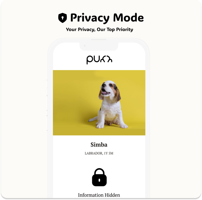 Privacy Mode Feature
