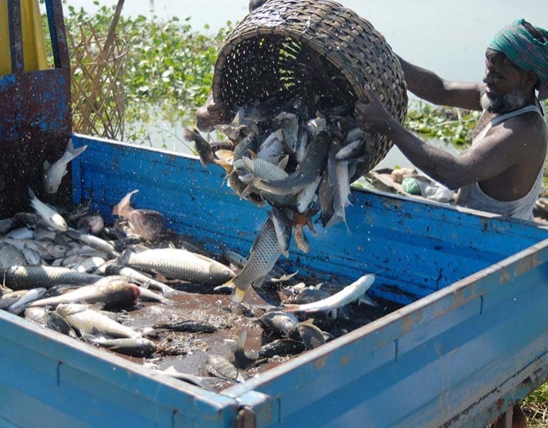a man is holding a basket with fresh fish