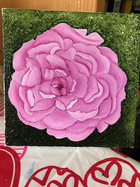 Large Pink Carnation
