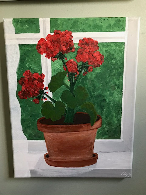 Red Flowers in a Terracotta Clay Pot in Front of a Window