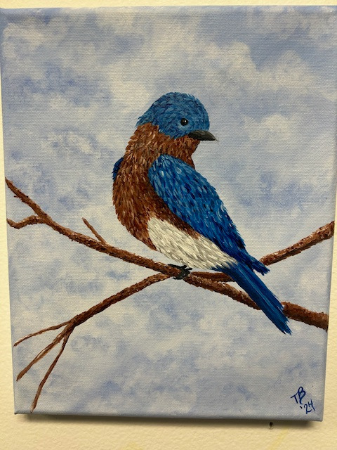 Bluebird on a Branch