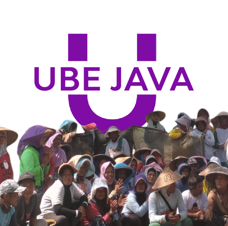 ube purple yam, ube supplier, purple yam supplier