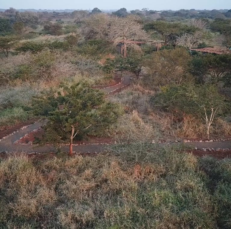 Self catering safari tent accommodation sites at Albizia tented camp