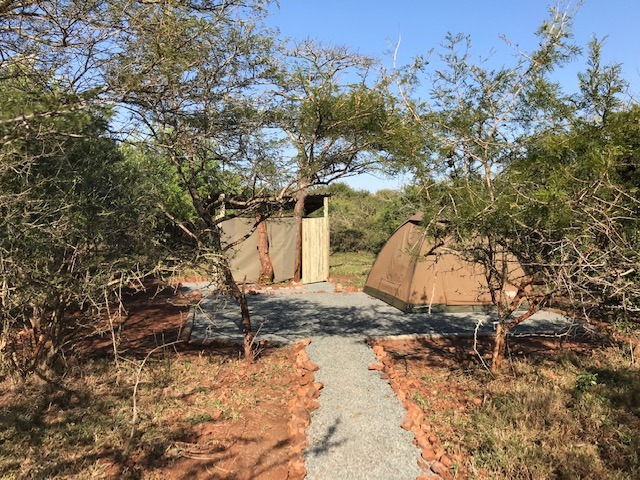 Glamping dome tent accommodation with private bathroom at Albizia camp in Hluhluwe