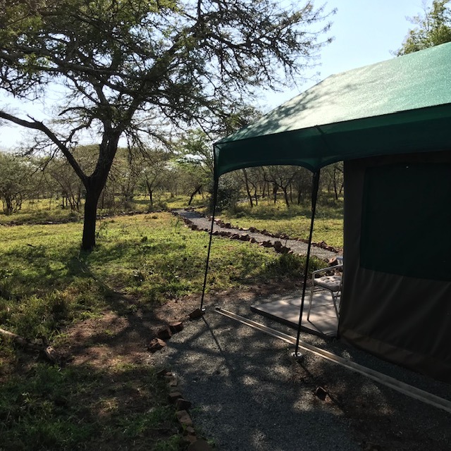 Owner run and intimate accommodation at Albizia self catering tented camp in Hluhluwe