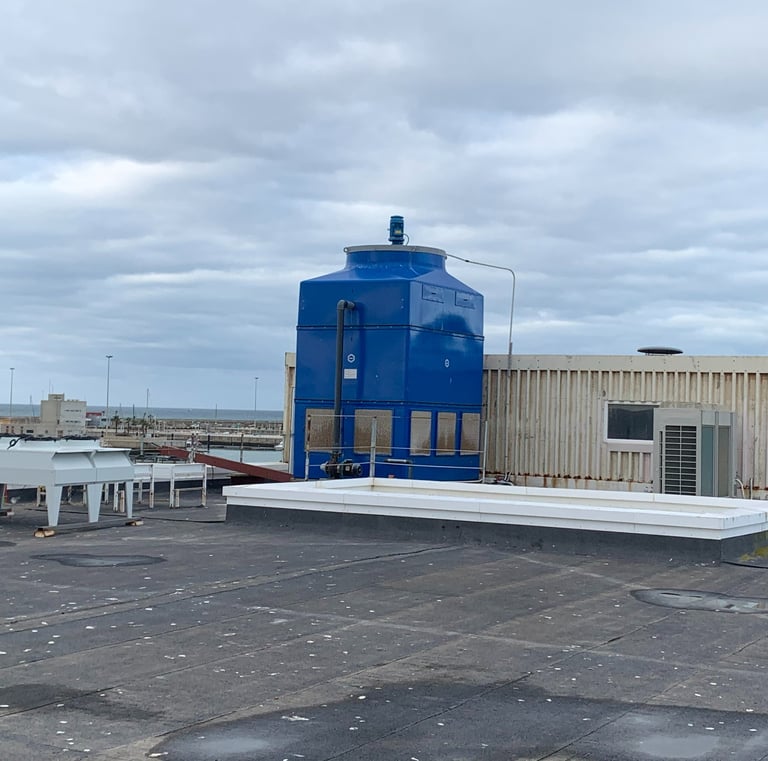 Condensador evaporativo para una instalación de R717 (amoniaco) desarrollada en una fabrica de hielo