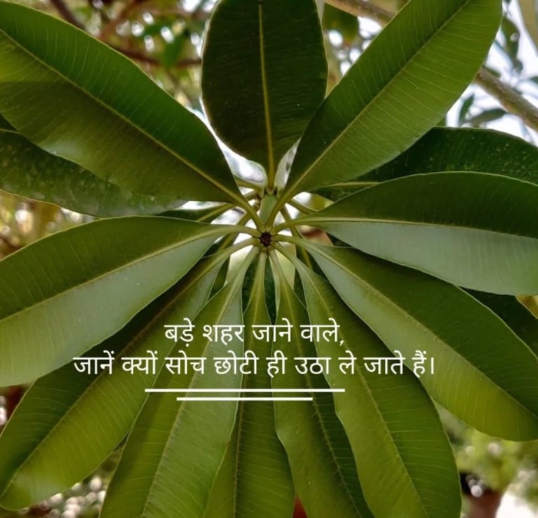Poetry on Human Thought Process.