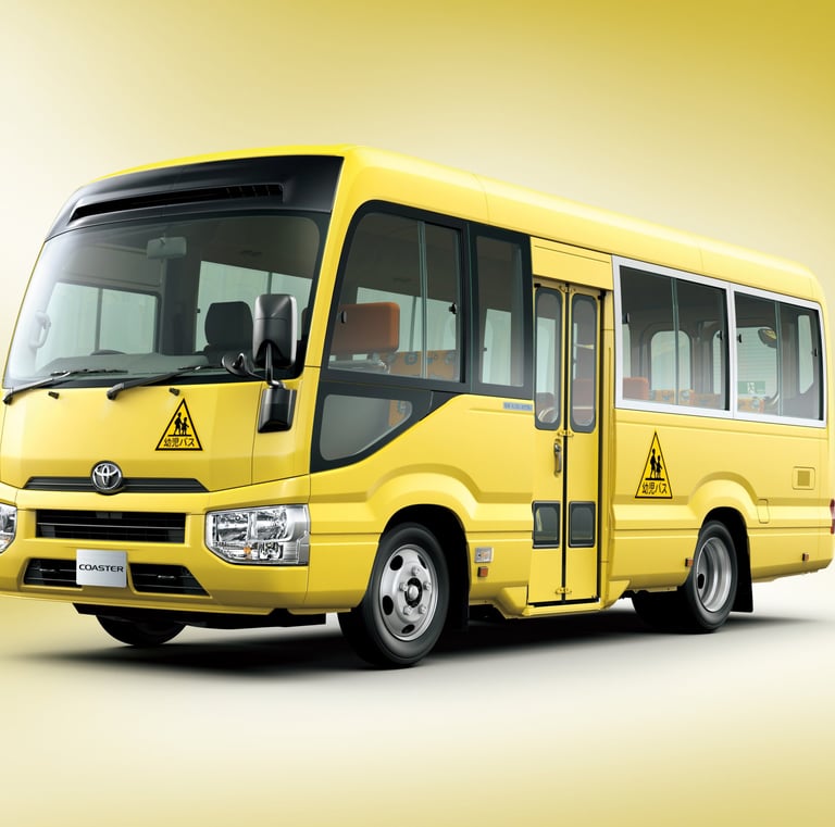 30 seater school bus
