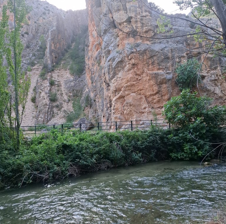 Un rí con agua cristalina y piedra de un cañon, arboles verdes y bonitos