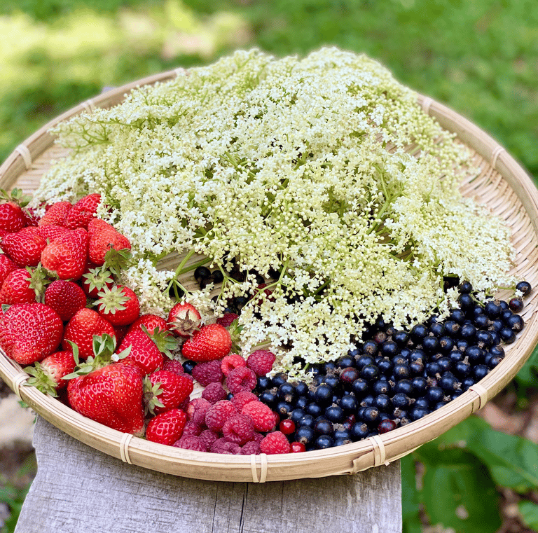 organic elderflower, strawberries, raspberries, black currants in a woven basket