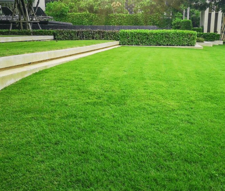 Entretien de jardins DG Services à Neuchâtel - tonte, taille et aménagement paysager durable