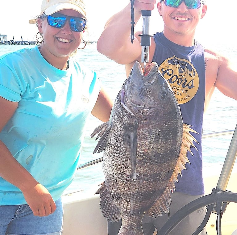 Trophy Sheepshead